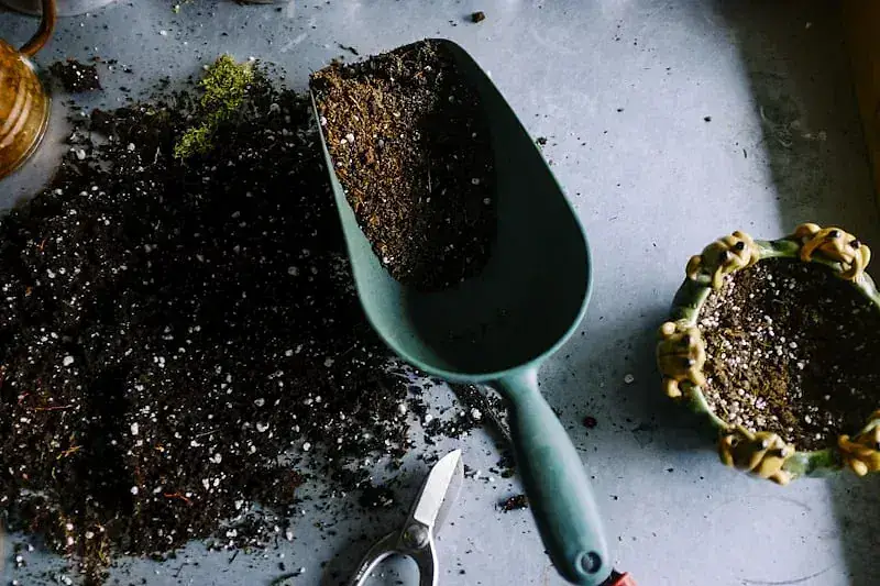 Garden maintenance work