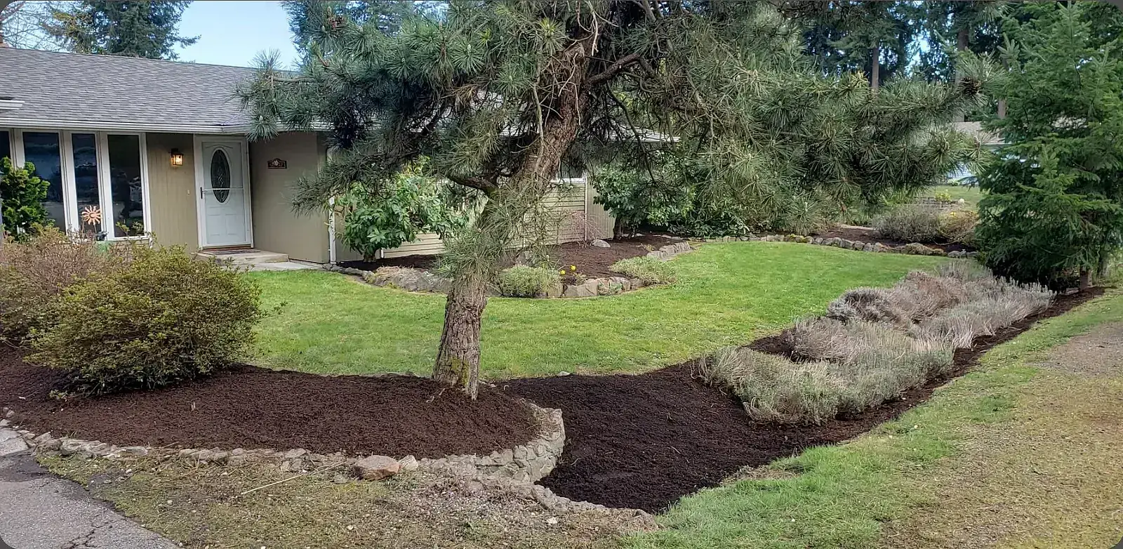Lawn