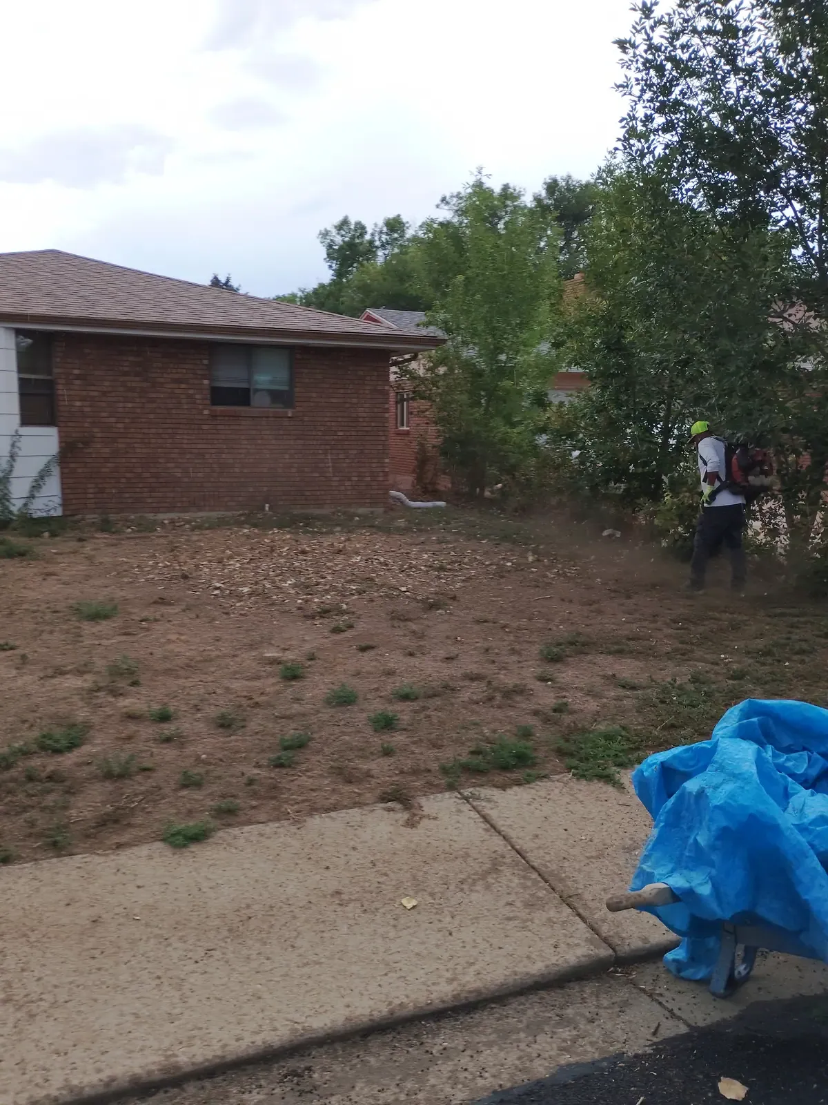 Worker clearing debris with a backpack leaf blower