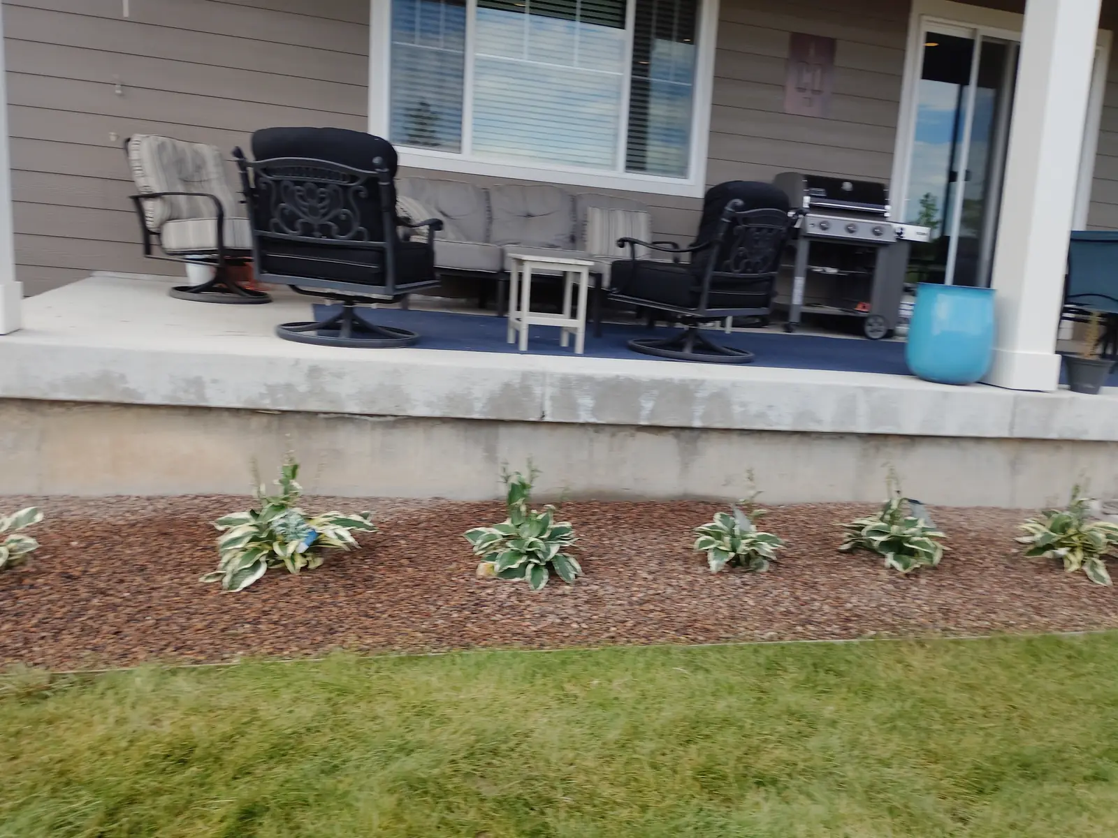 Shade-tolerant Patriot Hosta accent planting along the flagstone walkway