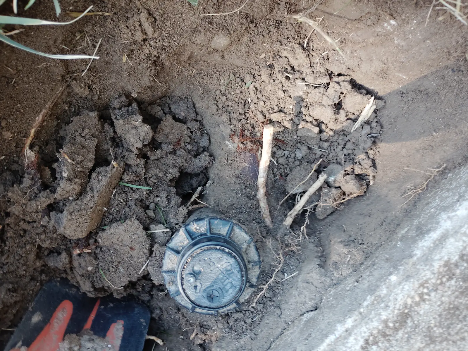 Excavation: opened trench exposing the sprinkler body and black poly lateral line
