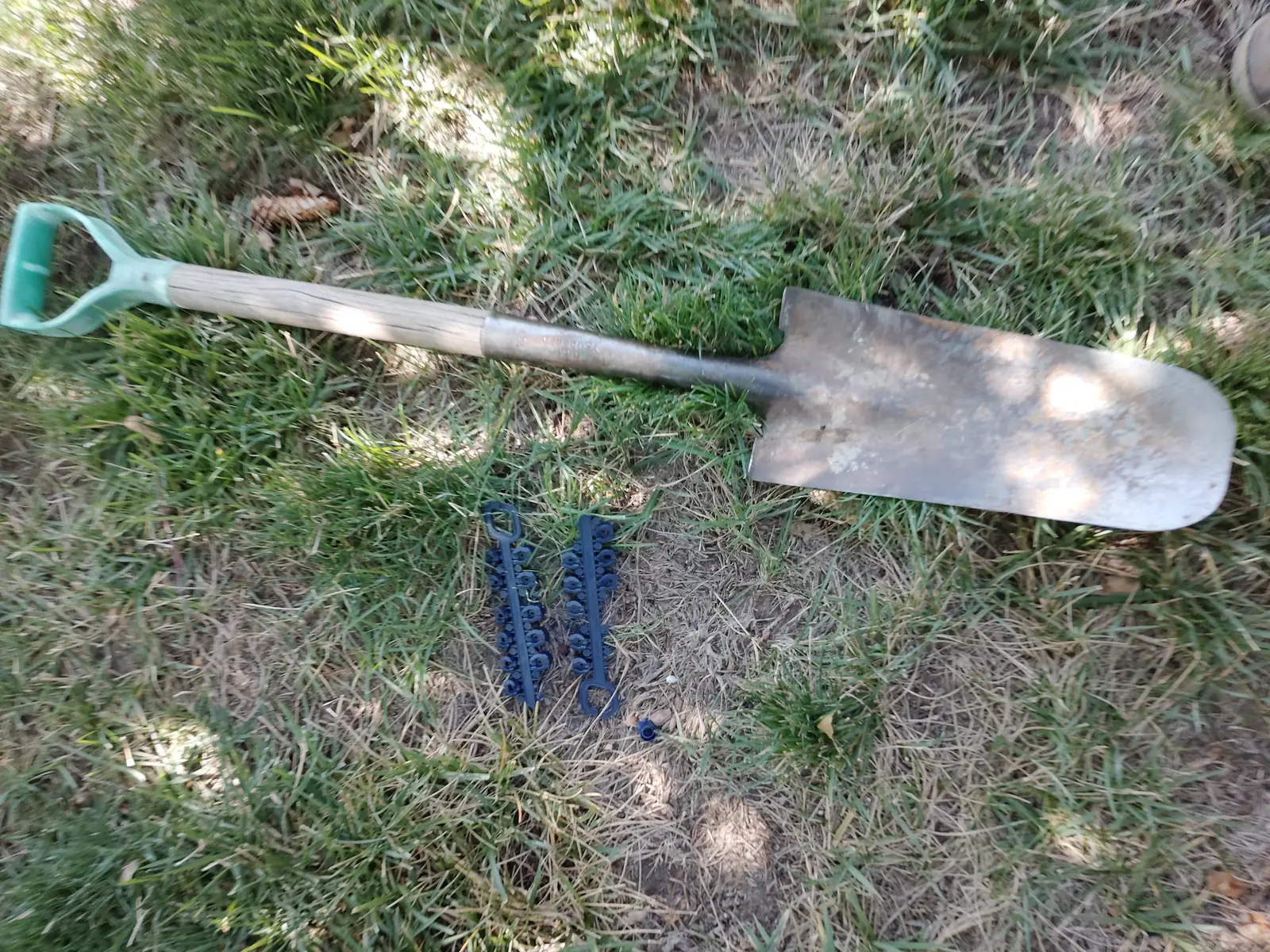 System testing: a head actively spraying the front lawn