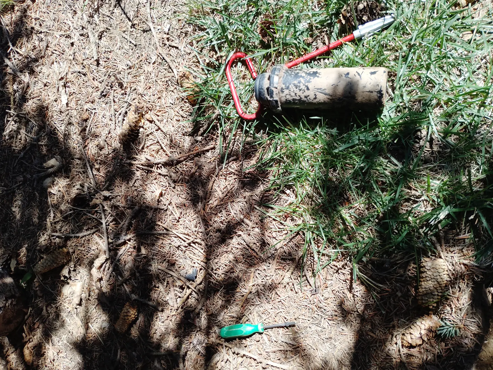 Repaired sprinkler head actively spraying the lawn during system testing in Longmont, CO