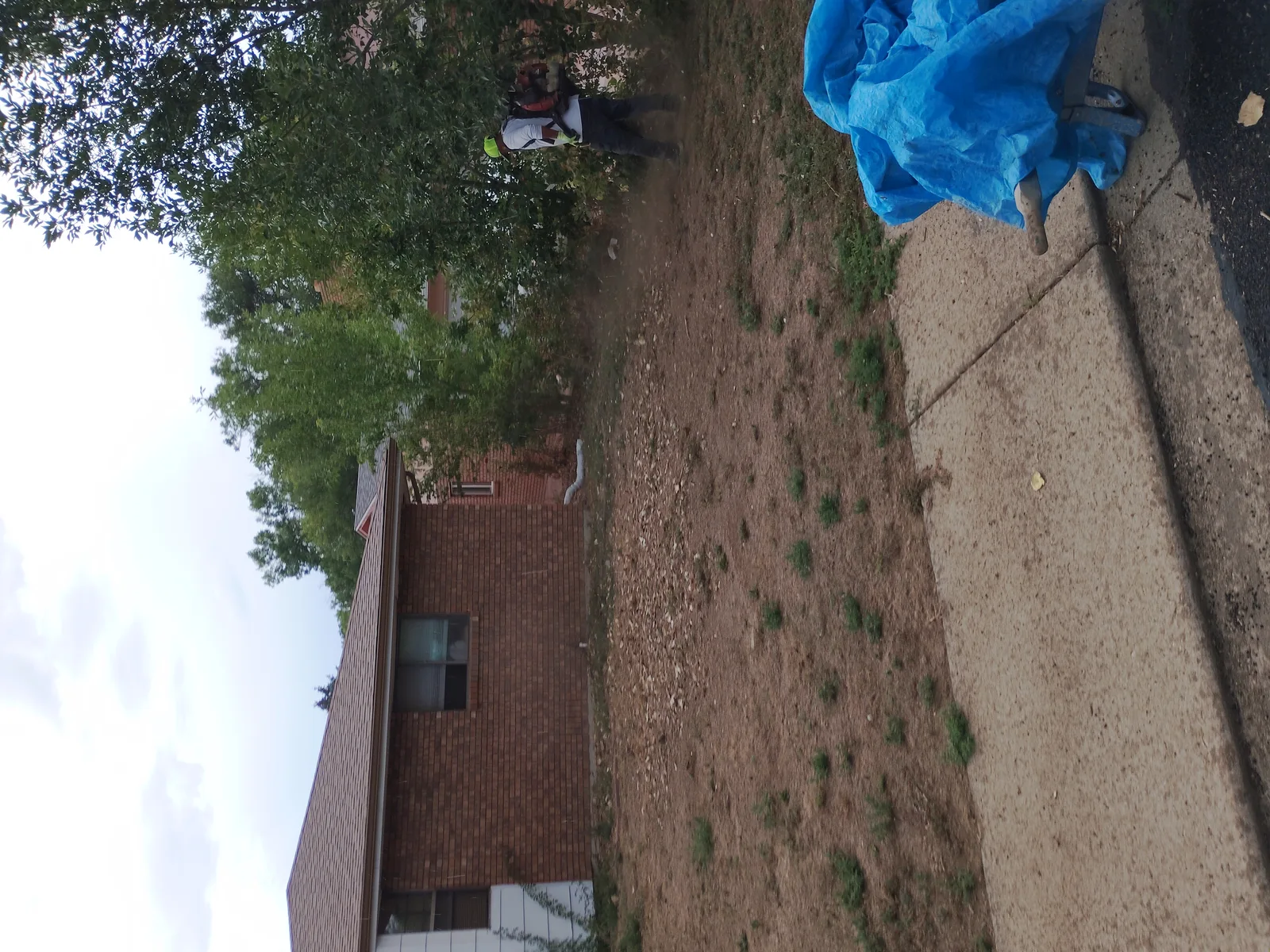 Crew clearing old grass and weeds from the yard