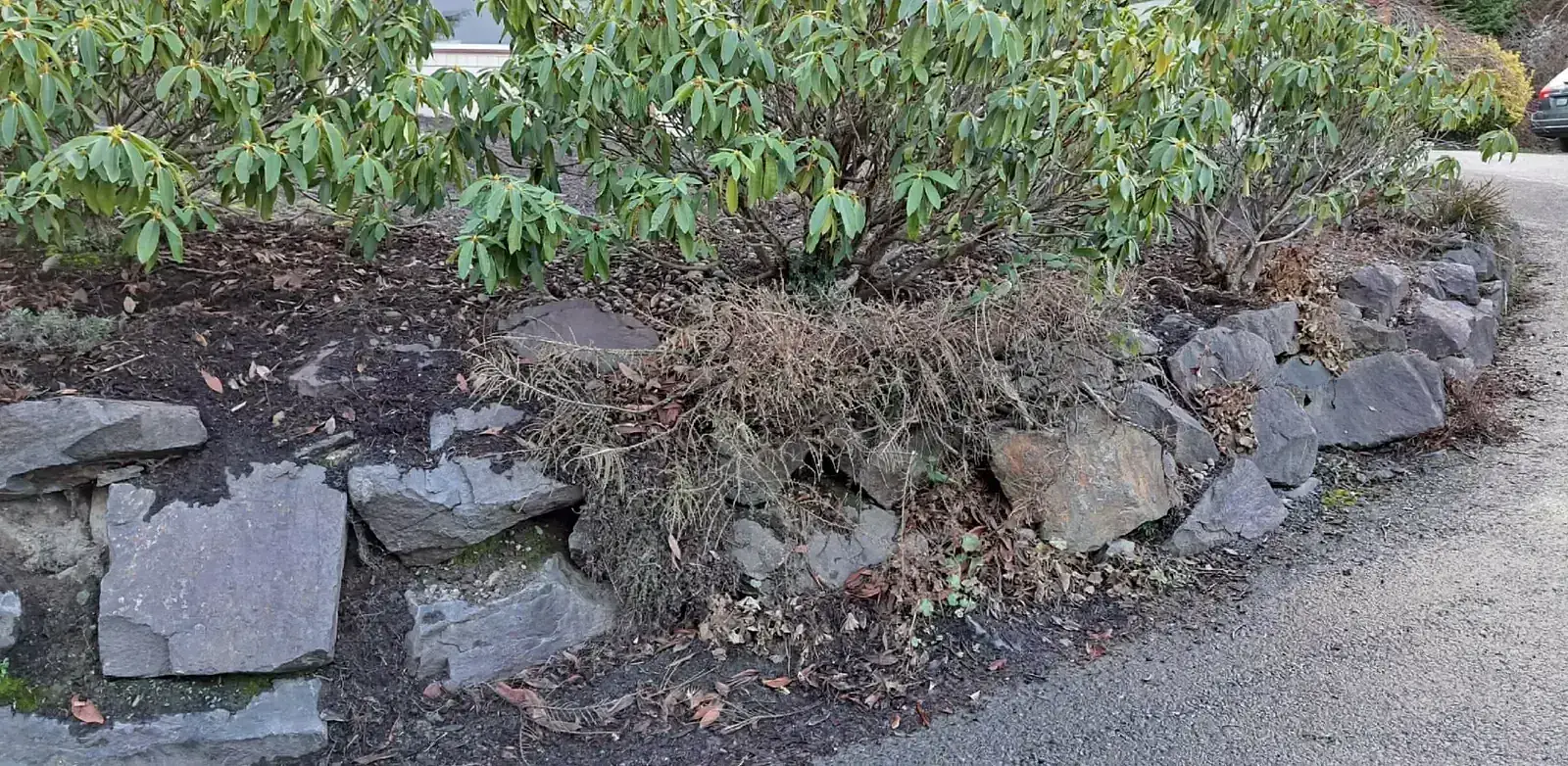 Before: Unfinished hillside slope prior to retaining wall in Boulder