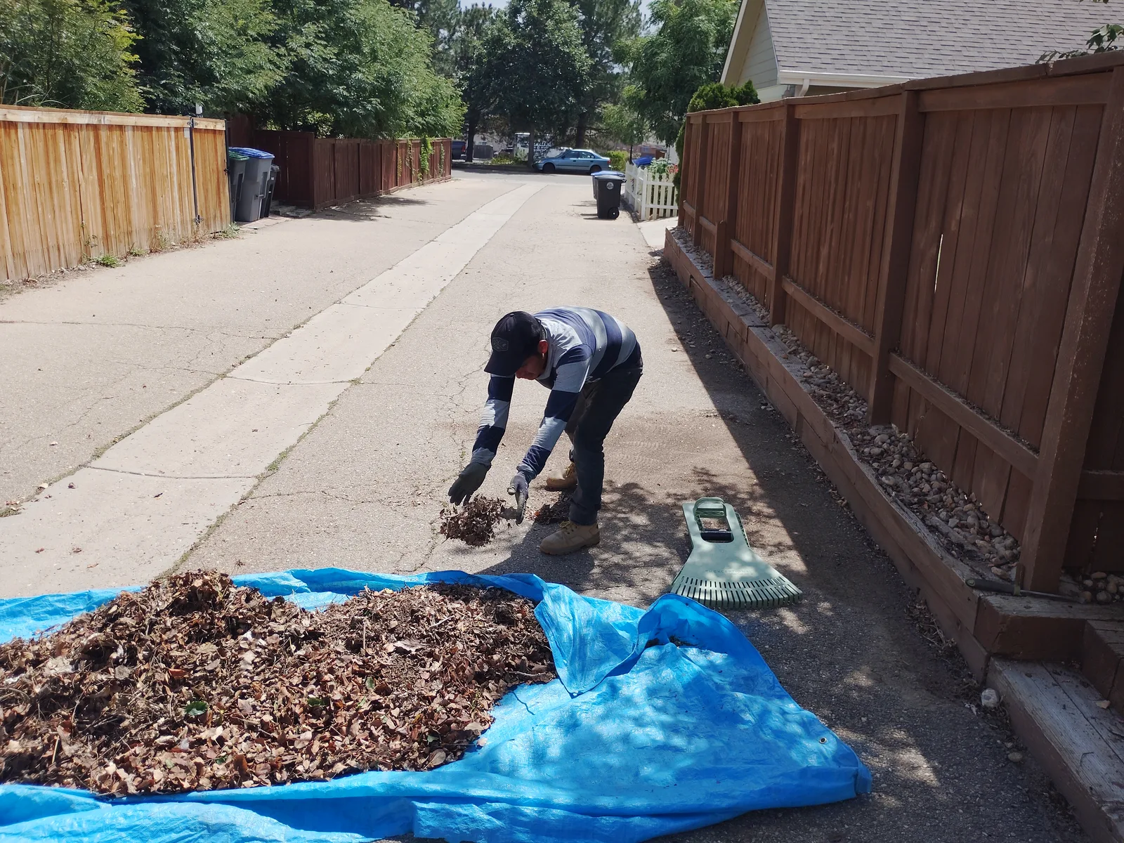 Crew member gathering leaves during yard cleanup
